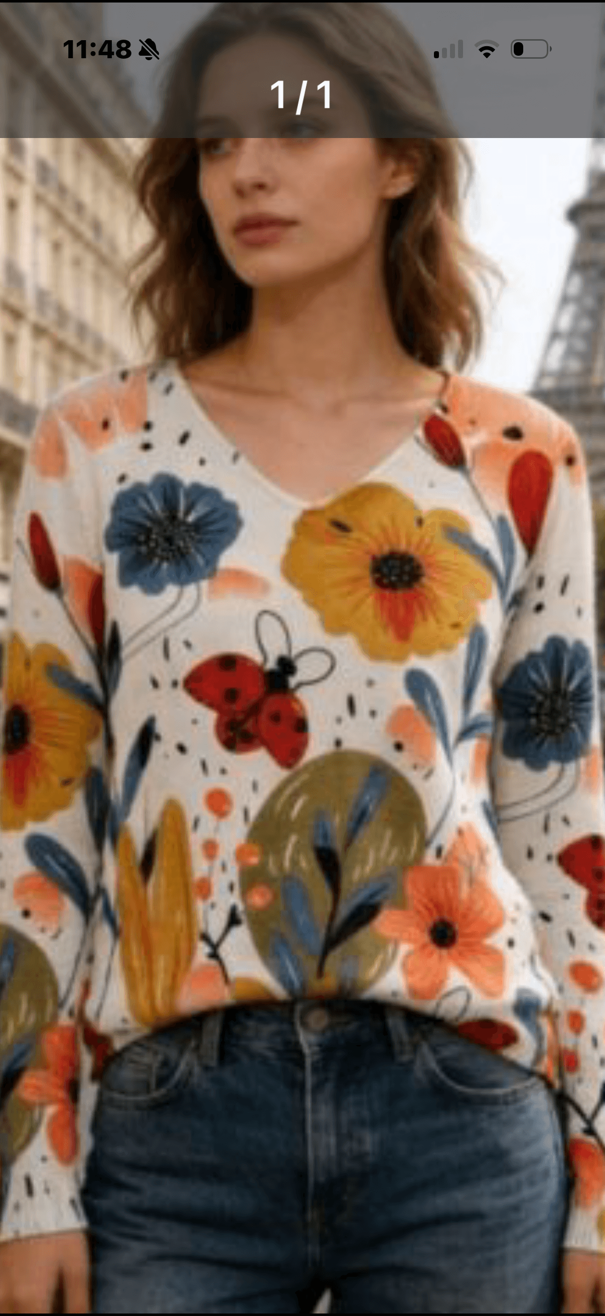 Pull Crème « Fleuri et coccinelle »